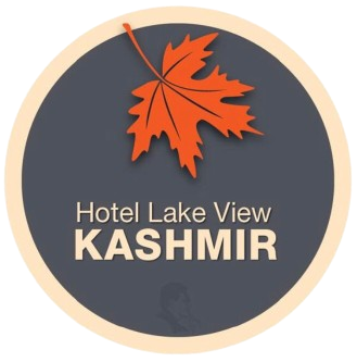 Hotel lake view kashmir